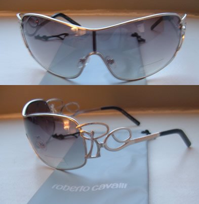 Sunglasses style 320