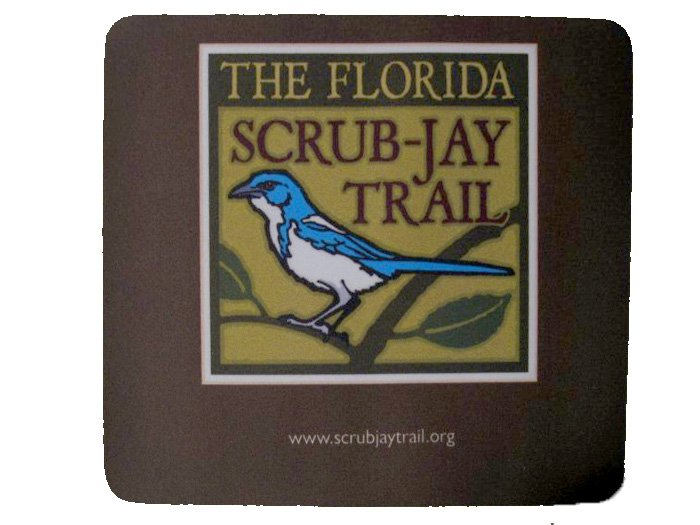 Scrub-Jay Mouse Pad