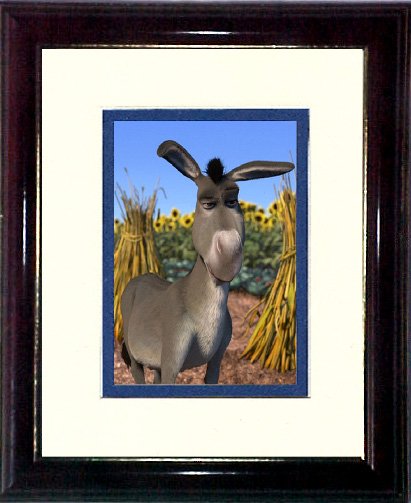 DONKEY Shreck #2 A270