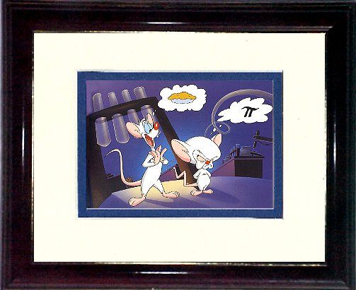 Pinky and The Brain #1 A419