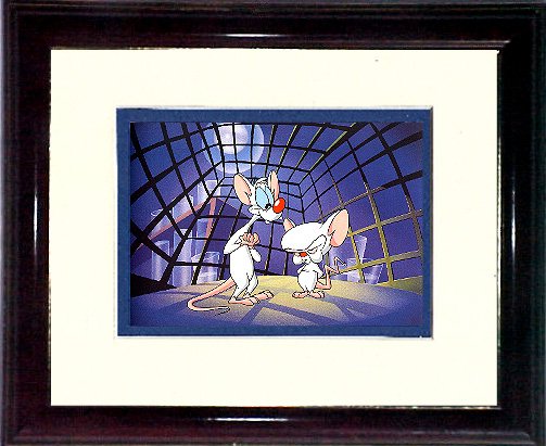 Pinky and The Brain #3 A421