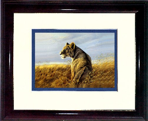 Bateman's lioness #A463
