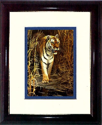 THE TIGER #A472