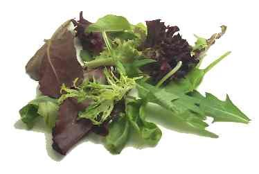 Diabetic Low Fat Low Sugar Soup & Salad Recipes eBook
