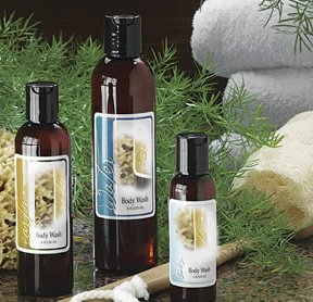 Scented Bath Body Shower Gel Recipes eBook