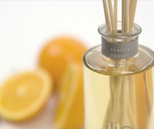 Make Your Own Scented Reed Diffuser Bamboo Air Freshener Recipes eBook