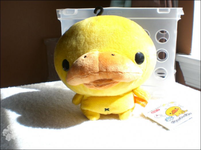 san-x kamonahashi platypus 6" plush