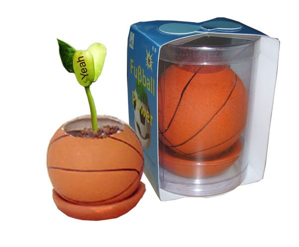 Basketball plants;Ceramic basketball; Toy basketball(GF-BP-B)