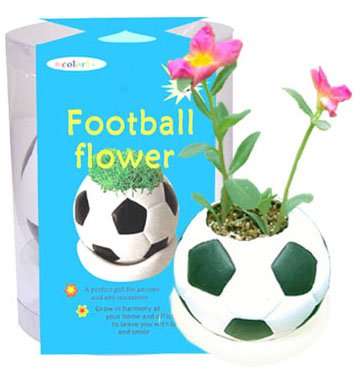 Football plants;Ceramic ball; Toy ball