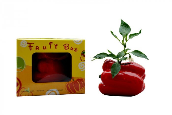 Pimiento gift;Pimiento; Ceramic pimiento