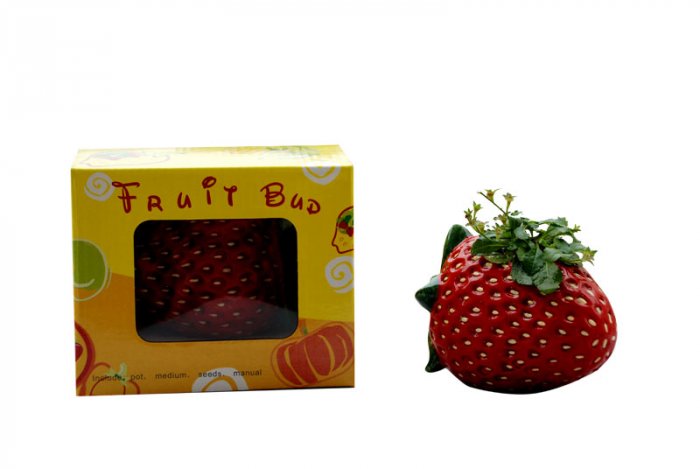 Strawberry gift;Strawberry; Ceramic Strawberry