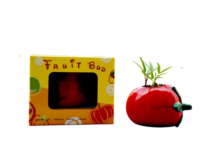Tomato gift; Ceramic Tomato