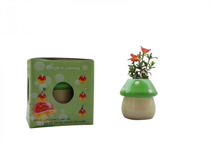 Mushroom plants; Mushroom gift;Ceramic Mushroom(green)