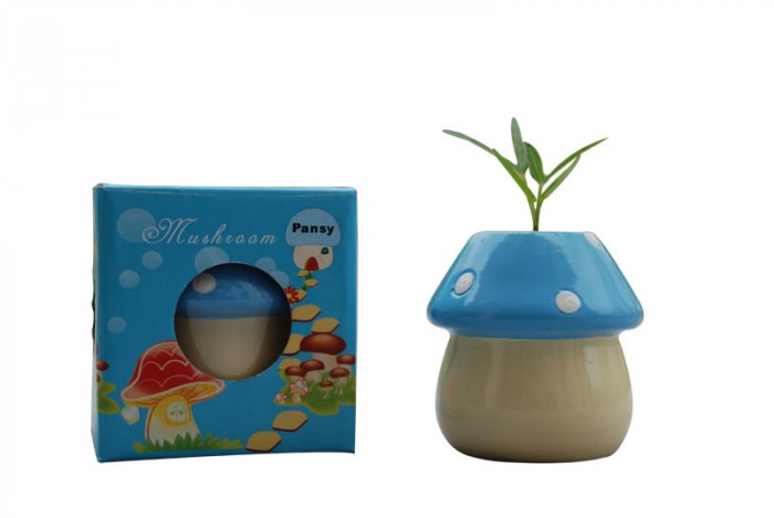 Mushroom plants; Mushroom gift;Ceramic Mushroom(blue)