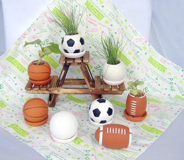 Football plants;Ceramic ball; Toy ball
