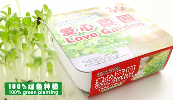 Love garden;magic bean;vegetable
