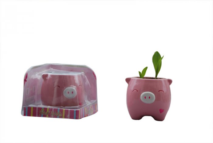 Piggy Plant;garden craft,home decoration(pink )