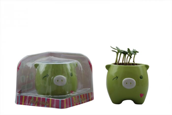 Piggy Plant;garden craft,home decoration(green)