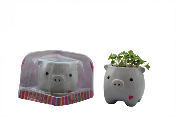 Piggy Plant;garden craft,home decoration(white)