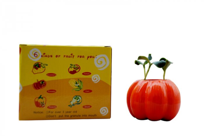 Halloween pumpkin;Pumpkin planter;Ceramic pumpkin