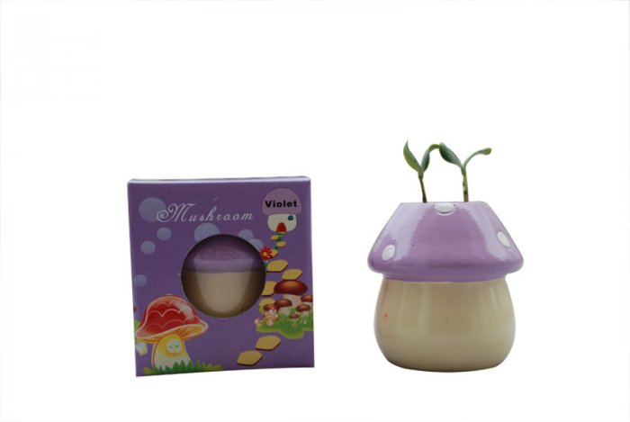 Mushroom plants; Mushroom gift;Ceramic Mushroom(purple)