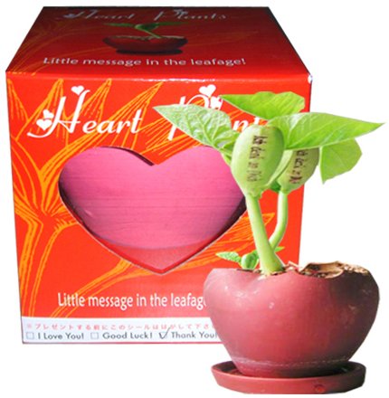 Heart-Shaped Garden Planters(GF-HPK)