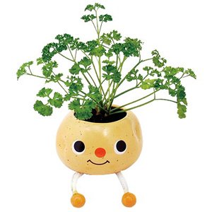 potato planter ;home decoration ;garden craft