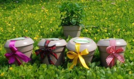 Garden gift;Rice hull plant