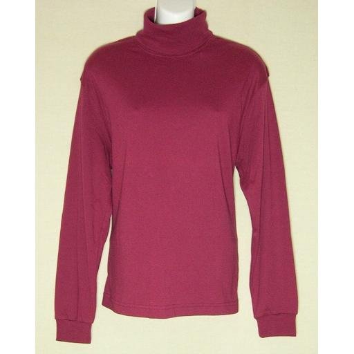 New HASTINGS & SMITH Red Jersey Turtleneck Top- M