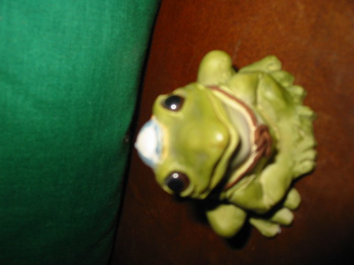 Frog With Books Strapped On Back by Stone Critters SCB163 How Cute