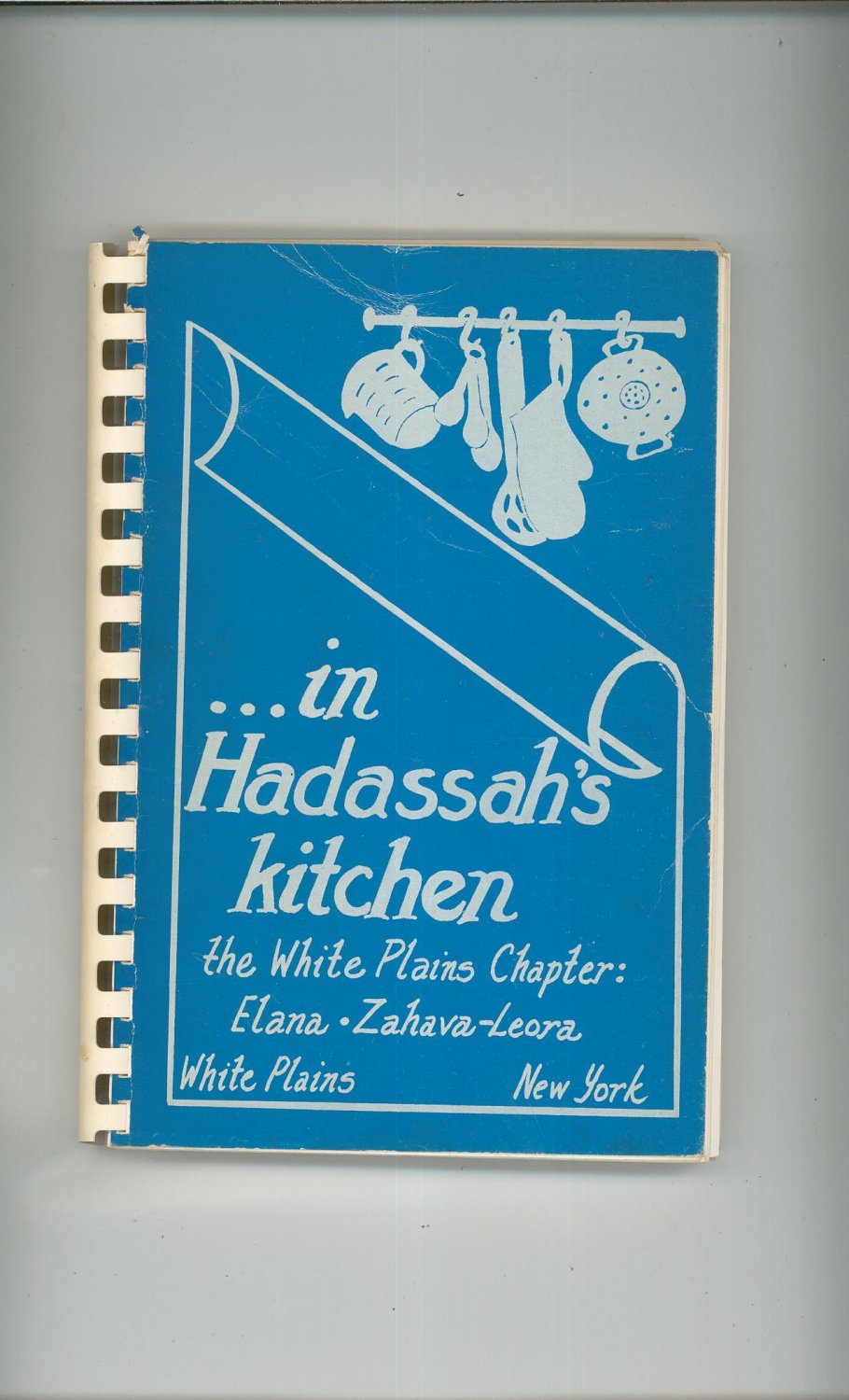In Hadassah's Kitchen Cookbook Regional White Plains New York Elana Zahava Leora