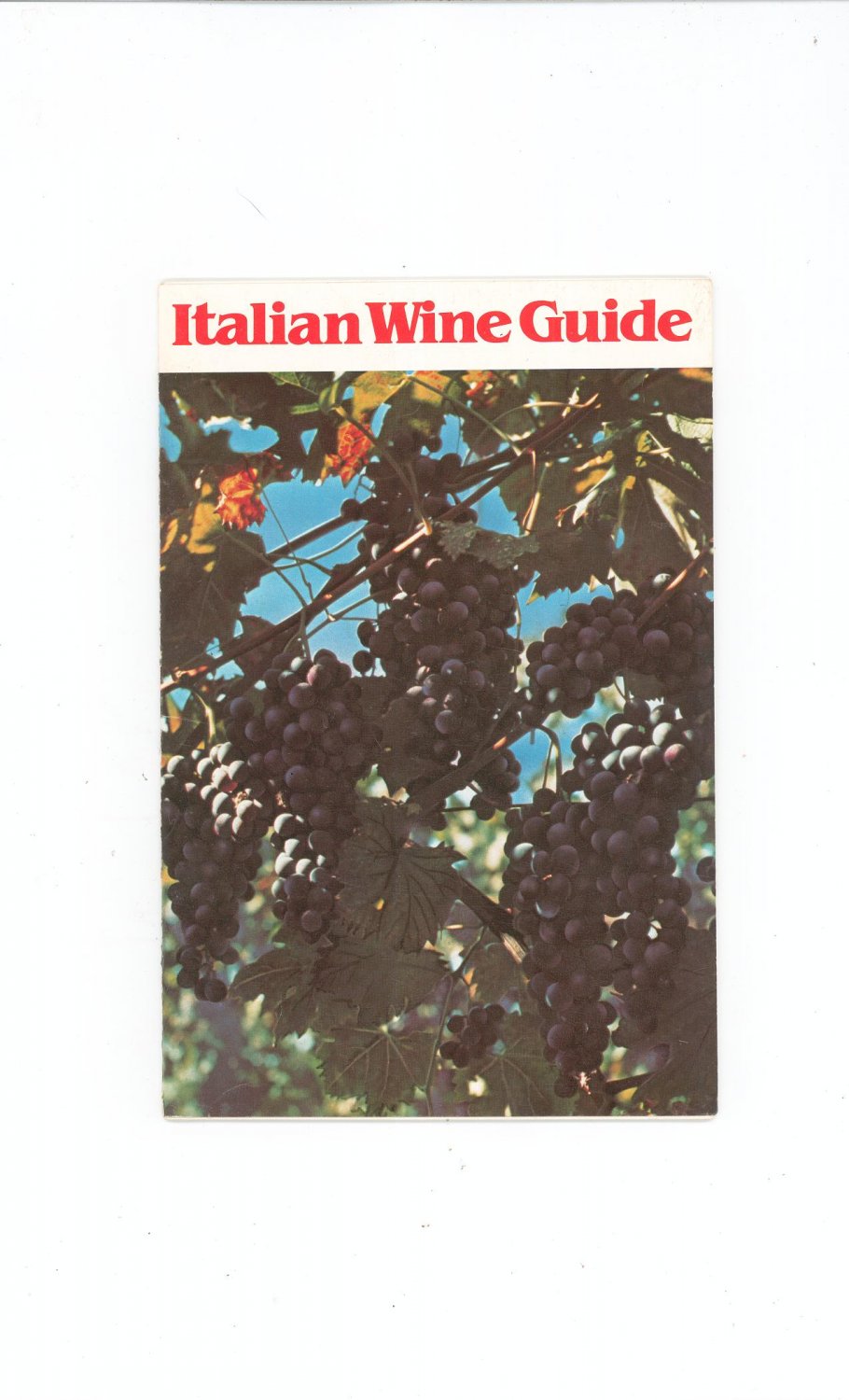 Italian Wine Guide by Italian Wine Center 1982