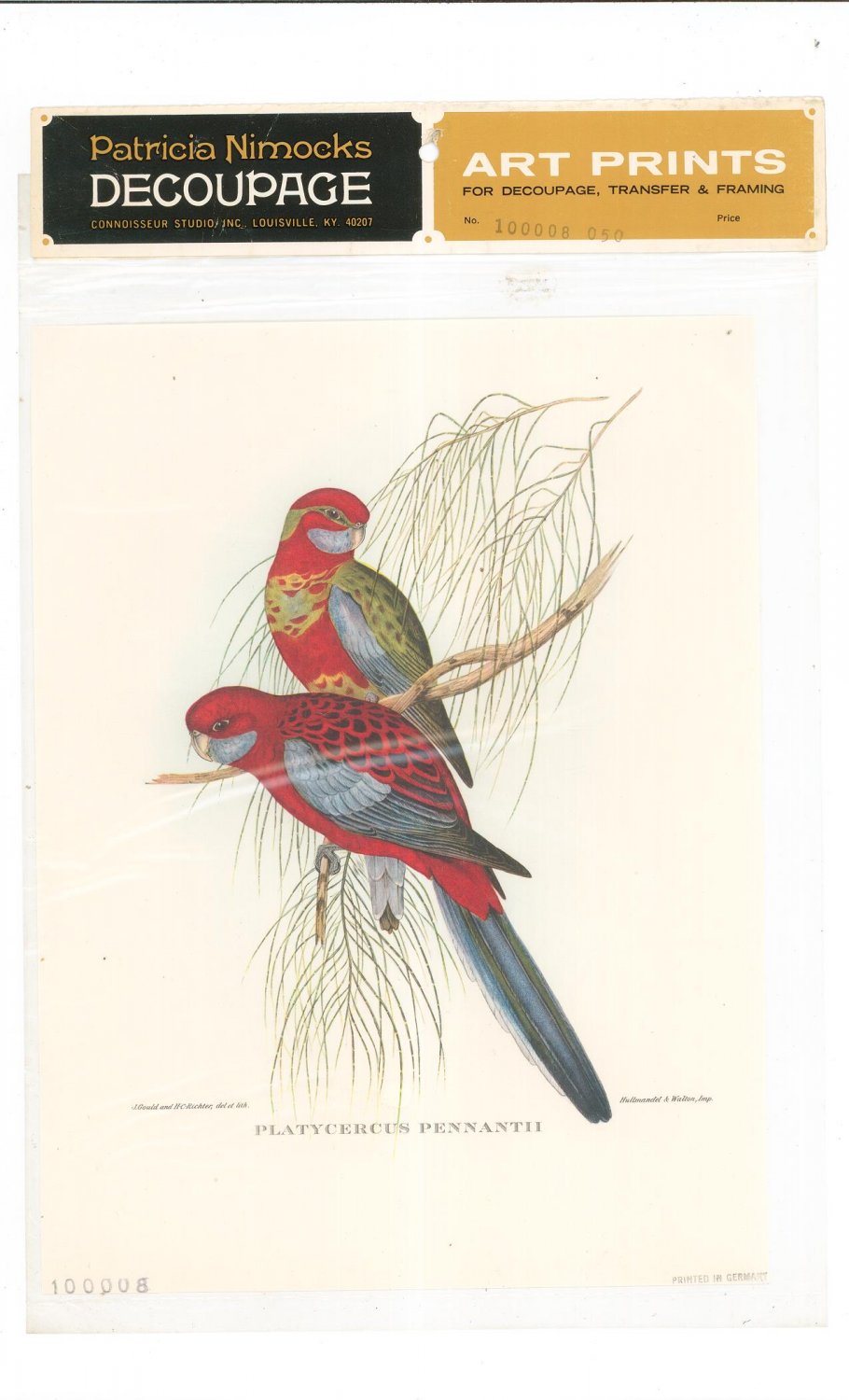 Patricia Nimocks Decoupage Art Print Bird 100008-050