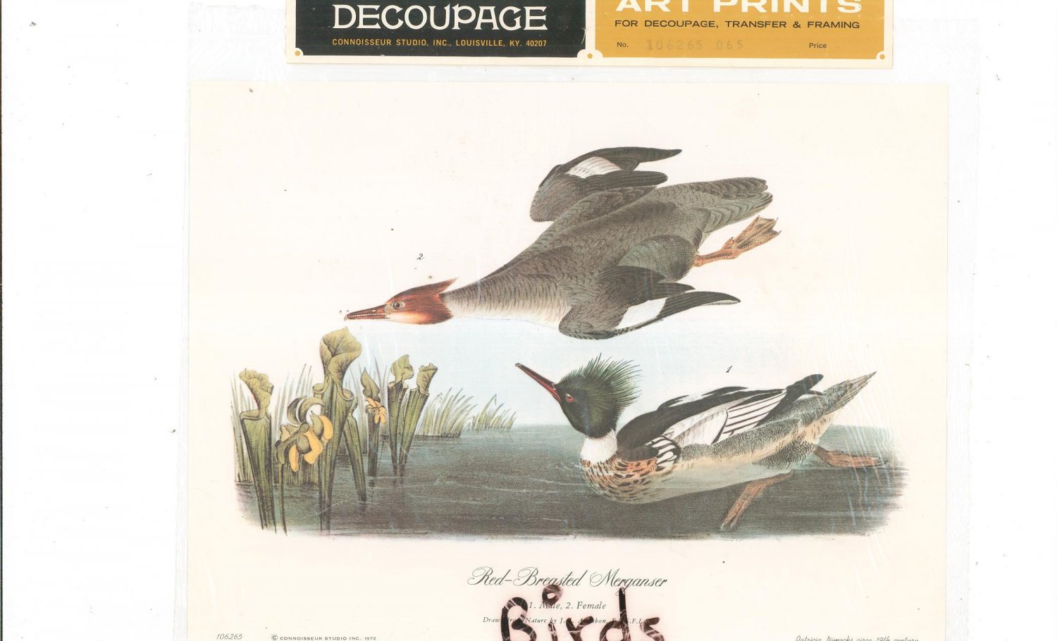 Patricia Nimocks Decoupage Art Print Red Breasted Merganser 106265-065