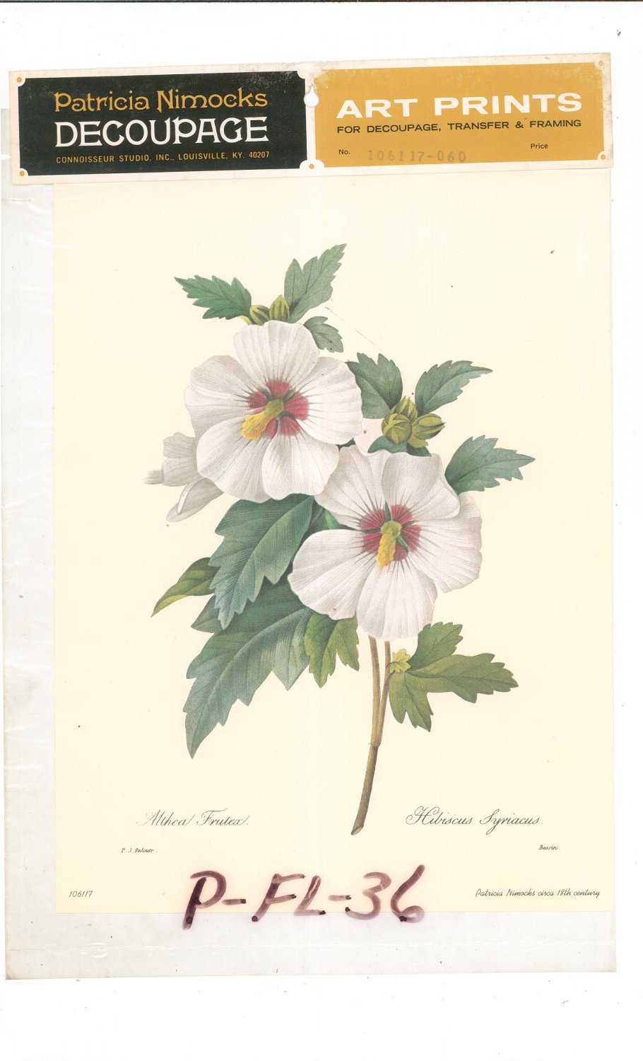 Patricia Nimocks Decoupage Art Print Flower Hibiscus 106117-060