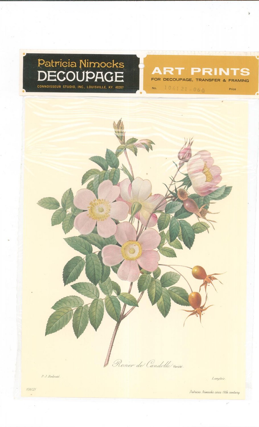Patricia Nimocks Decoupage Art Print Flower Rosier de Candolle 106121-060