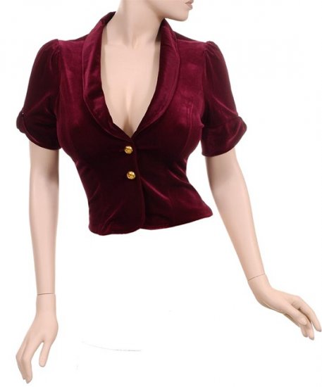 Velvety Blood Steampunk Anique Old Fashioned Elegant Velour Jacket