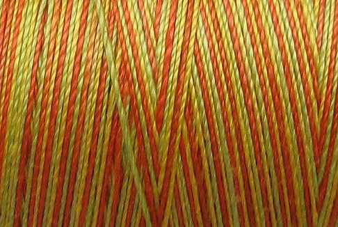 M8 Orange Kiwi Papaya 35wt 1080 yds Valdani Hand Dyed Variegated Cotton Quilting Thread q1