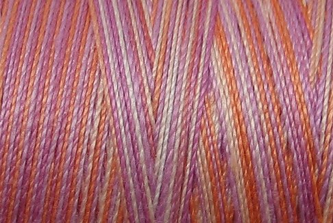 M39 - Precious Pansies - 35wt - 500m - Valdani Variegated Thread q1