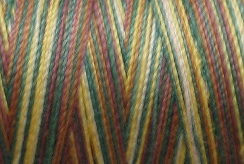 M56 - Moose Lodge - 35wt - 500m - Valdani Variegated Thread q2