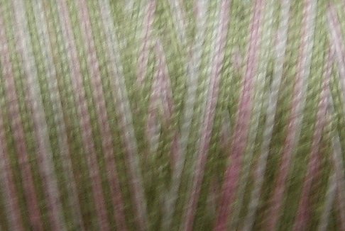 M63 Early Spring 35wt - 500m - Valdani Variegated Thread q3