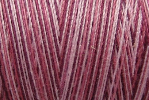 M14 Roses 35 wt 500m Valdani Hand Dyed Variegated Cotton Quilting Thread q2