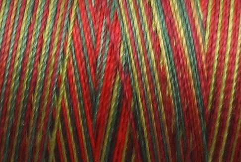 M57 Summer Blooms 35wt 2000m cone Valdani Hand Dyed Variegated Cotton Quilting Thread q1
