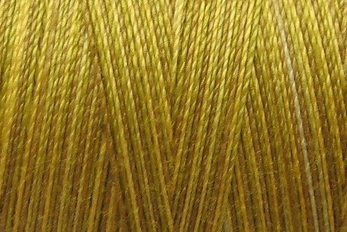 M16 Golden Accents 35wt 2000m cone Valdani Hand Dyed Variegated Cotton Quilting Thread x0