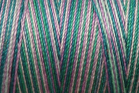 M21 Treasures 35wt 2000m cone Valdani Hand Dyed Variegated Cotton Quilting Thread q0