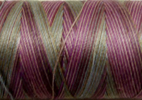 M1002 Water Lilies 50wt 1080 yds - Valdani Hand Dyed Cotton Variegated Thread q0