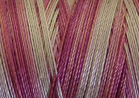 V107 Delicate Roses 50wt 1080 yds - Valdani Hand Dyed Cotton Variegated Thread q2