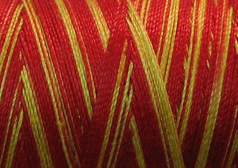 V57 Fire Valdani 35wt 1080 yds Variegated Cotton Quilting Thread q1