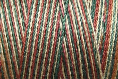 M29 Countryside 50wt 500m Valdani Variegated Thread q1