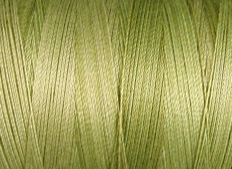 O559 Watery Weed 35wt 500m Valdani Overdyed Thread 0559 q1